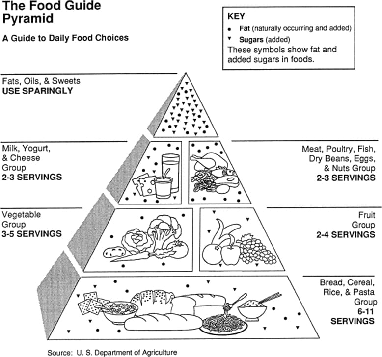 the food pyramid