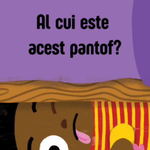 Al cui este acest pantof