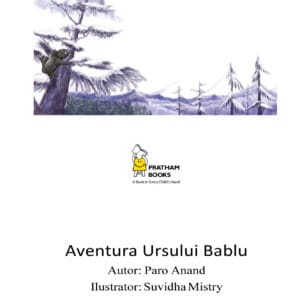Aventura Ursului Bablu